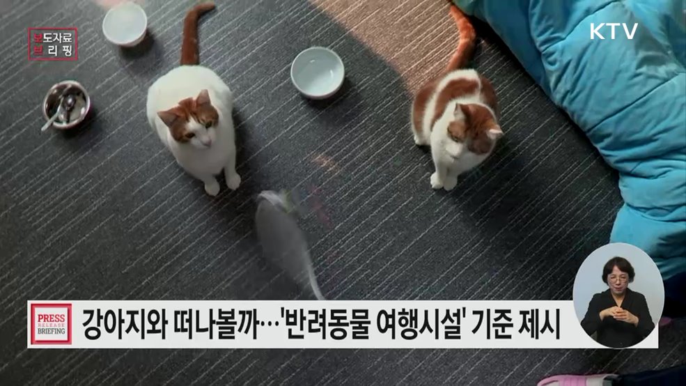 &#39;반려동물 동반여행 친화시설 조성 가이드라인&#39; 발간