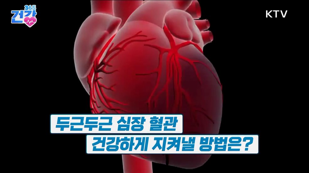 건강 365 (49회)