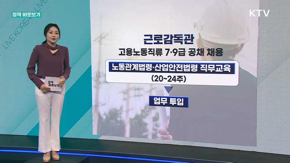 정책 바로보기
