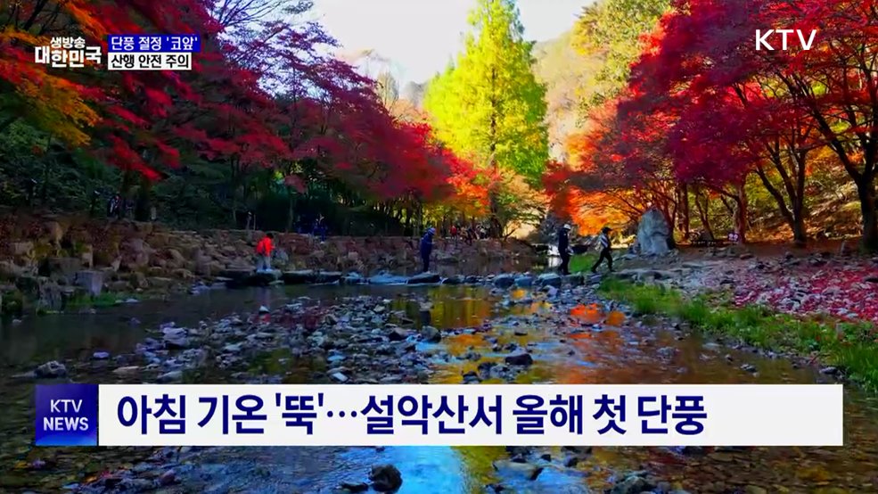 가을 산행 성수기···안전 사고 '주의'