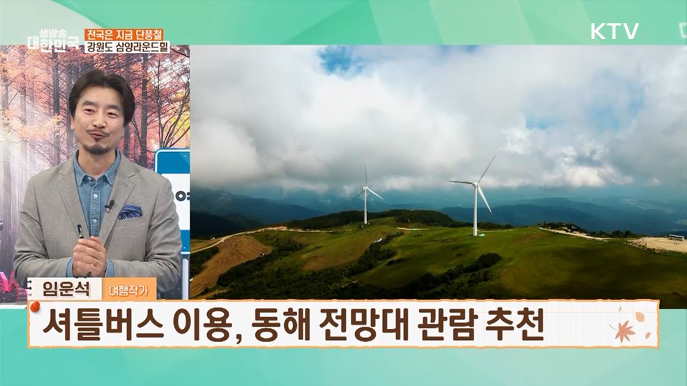 알록달록한 가을 만나는 대한민국 단풍여행 명소 [여행을 떠나요]