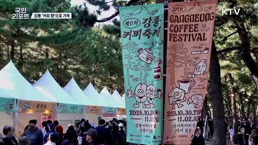 단풍에 안긴 강릉 해변, 커피 향으로 물들다