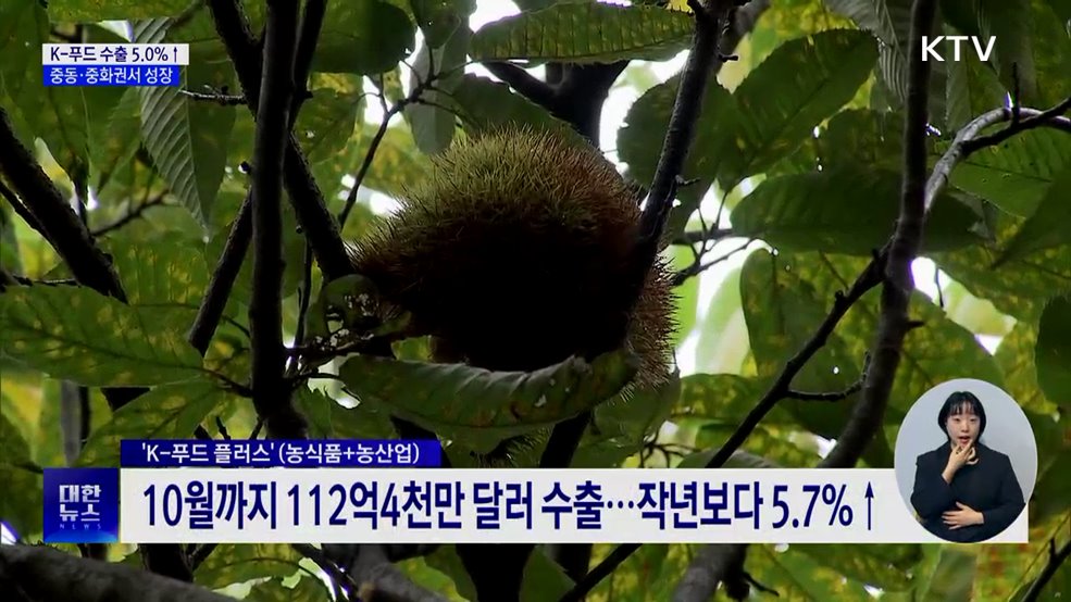 1~10월 K-푸드 수출 5&#37;↑···중동·중화권 큰 성장