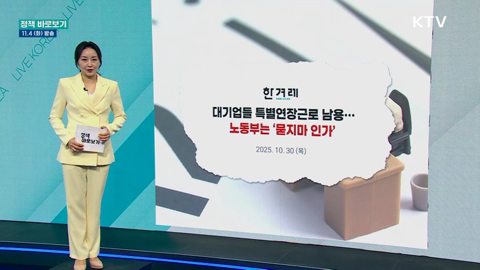 노동부 &#34;법과 지침에 따라 특별연장근로 인가&#34;