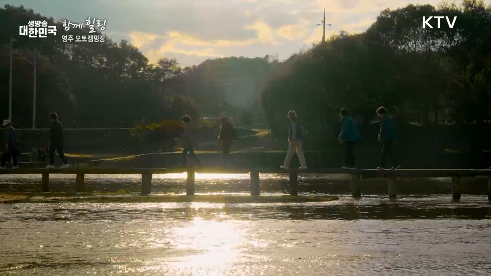 영주 오토캠핑장 [함께 힐링]