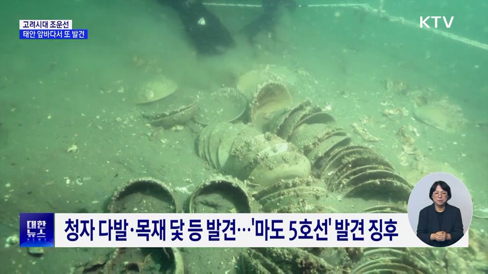 태안에서 또 &#39;난파선 흔적&#39;···내년 본격 발굴
