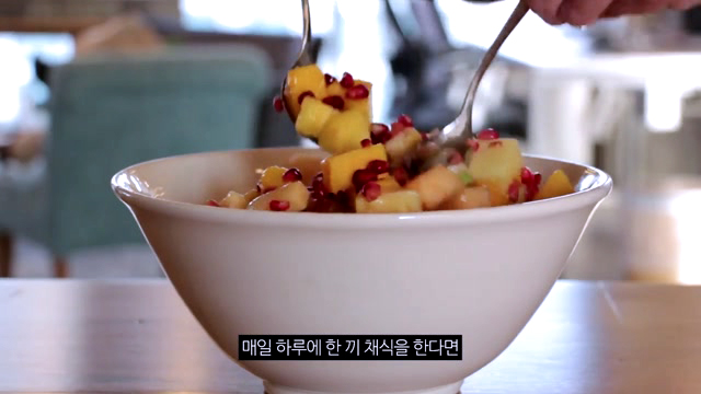 채식 챌린지: 지구를 구하는 작은 시작