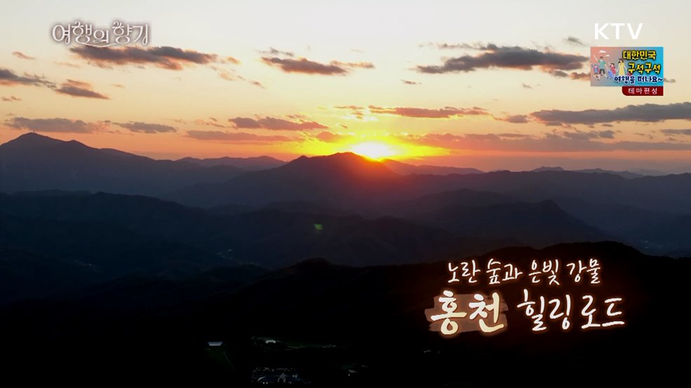 노란 숲과 은빛 강물: 홍천 힐링 로드