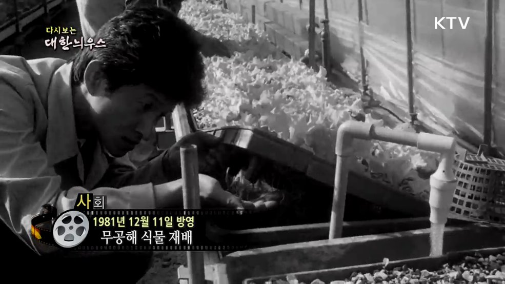 다시보는 대한늬우스 (81. 12. 11.)