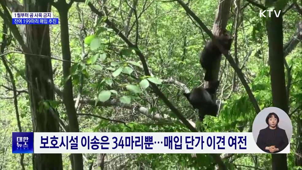 1월부터 곰 사육 전면 금지···199마리 매입 추진