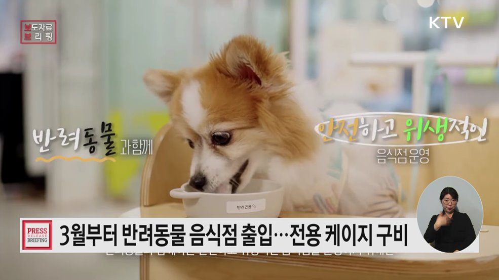 반려동물 동반 출입 음식점  시설기준 마련