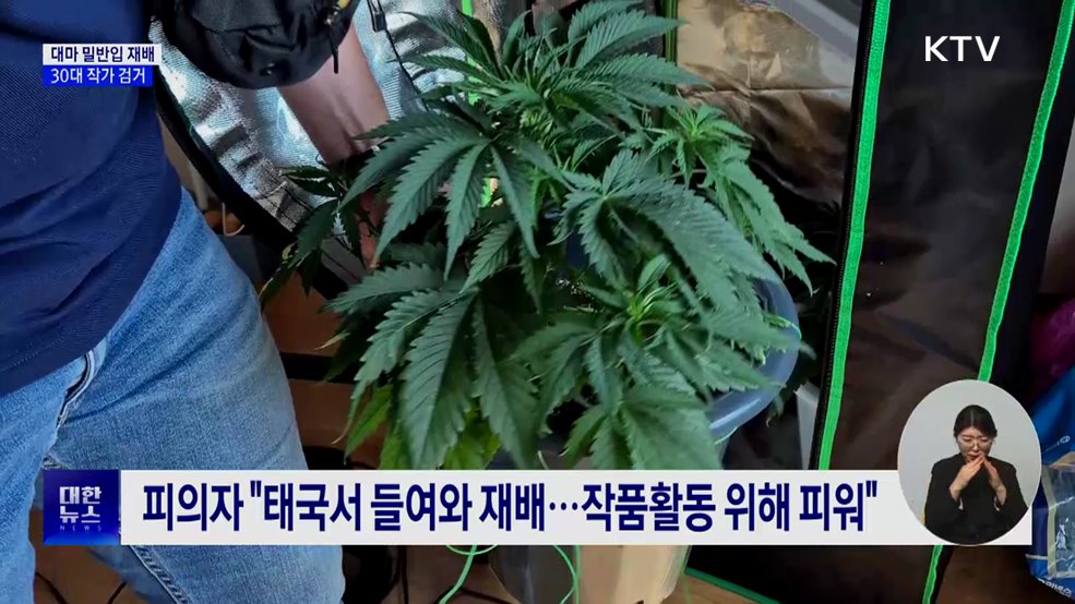 태국서 대마 들여 집에서 재배···30대 작가 검거