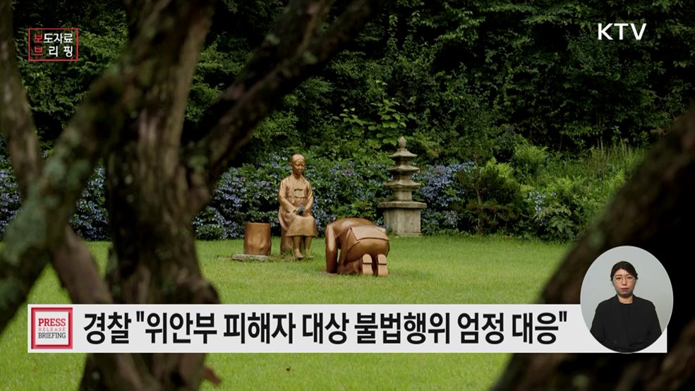 위안부 피해자 대상 불법행위 엄정 대응