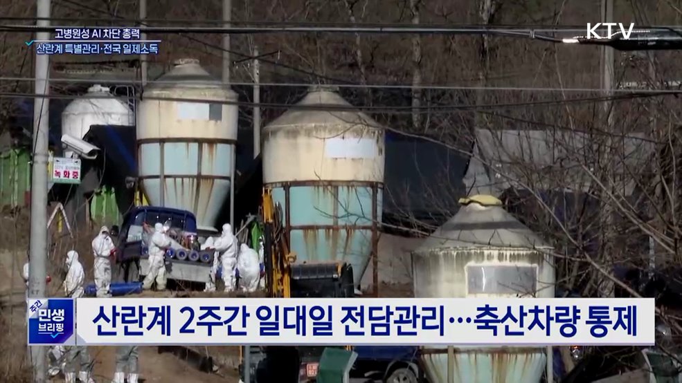 '고병원성 AI' 대응 총력···산란계 2주간 특별관리