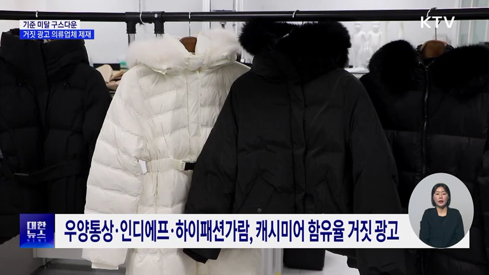 '기준 미달 구스다운'···거짓 광고 의류업체 17곳 제재