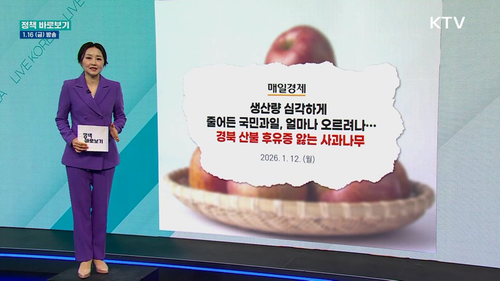 농식품부 "사과, 현재 저장 출하시기···공급 안정적"