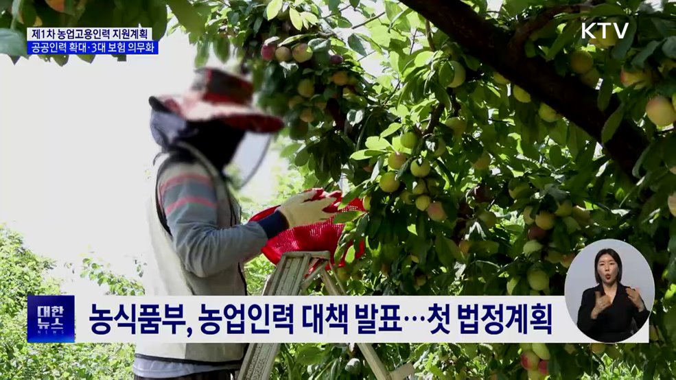 첫 농업인력 대책···공공인력 확대·3대 보험 의무화