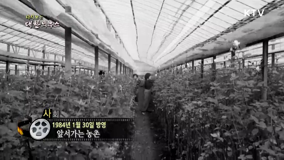 다시보는 대한늬우스 (84. 1. 30.)