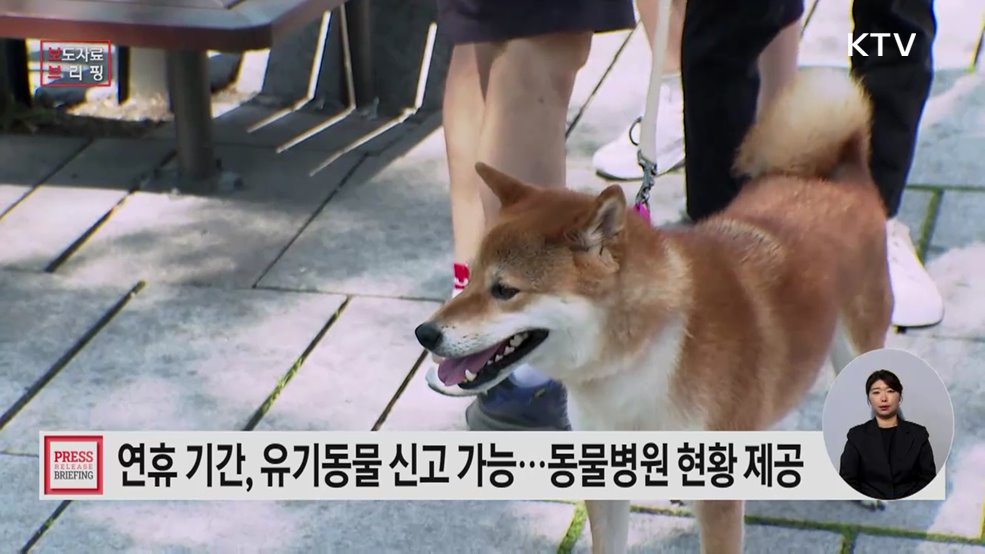 반려동물과 함께하는 즐거운 명절, 국가동물보호정보시스템으로 준비하세요