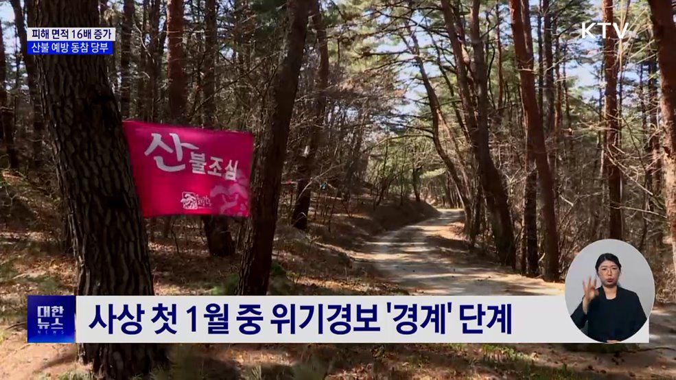 산불 피해 면적 16배 증가···산불 예방 동참 당부