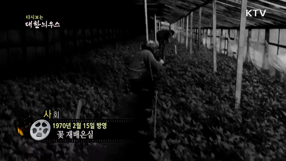 다시보는 대한늬우스 (70. 2. 15.) 이미지