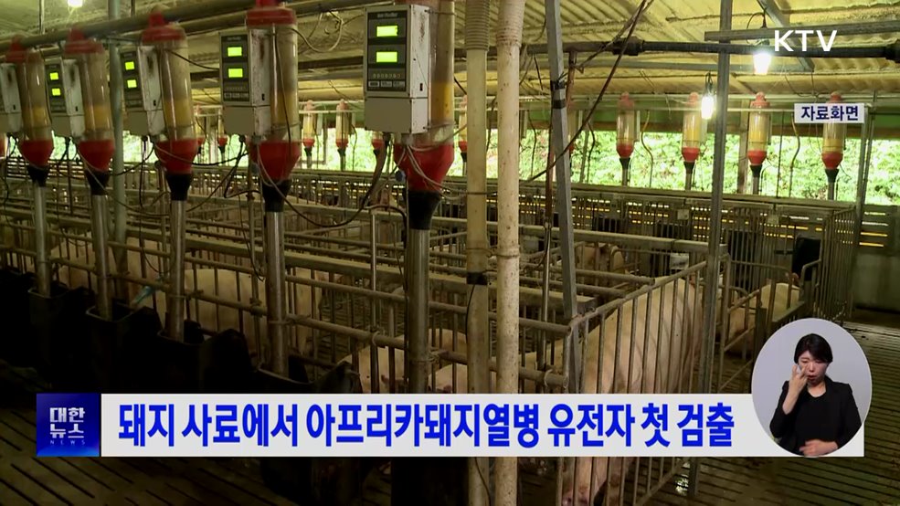 돼지 사료에서 아프리카돼지열병 유전자 첫 검출