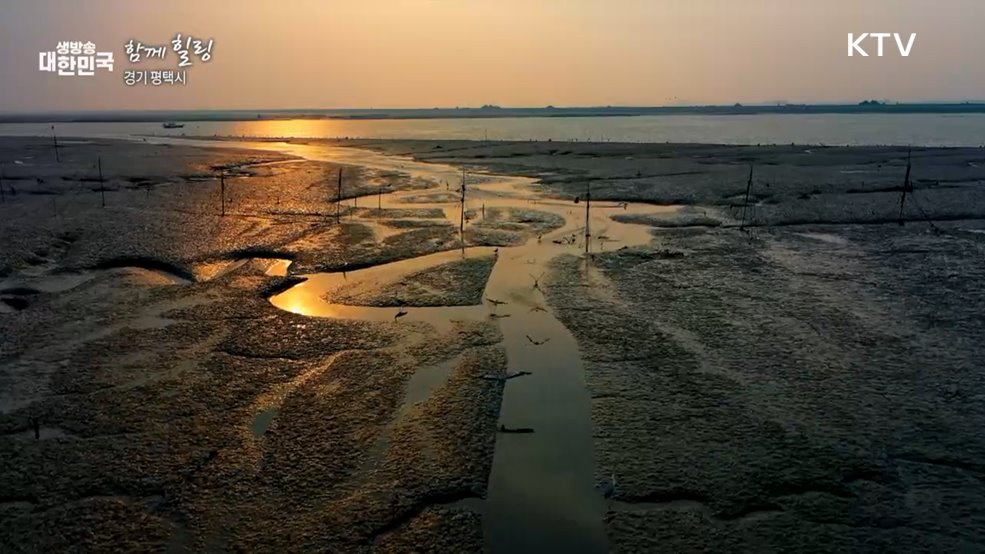 경기 평택시 [함께힐링]