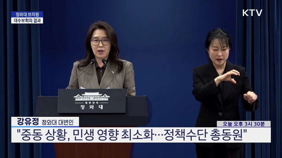 청와대 브리핑 - 대수보회의 결과