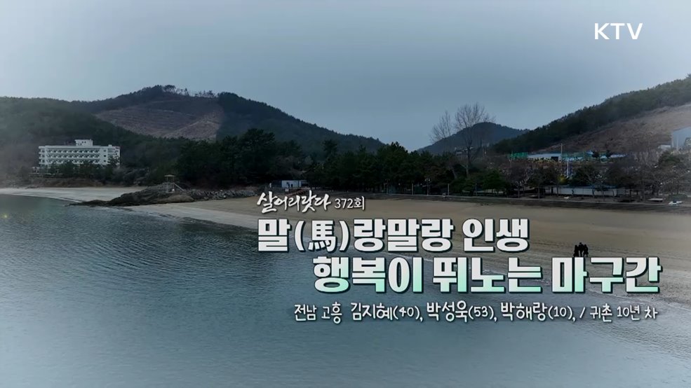 말(馬)랑말랑 인생 행복이 뛰노는 마구간