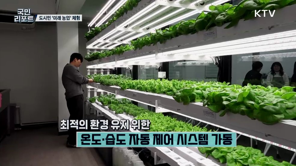 기후 위기 속 미래 농업 '스마트팜 체험' 호응