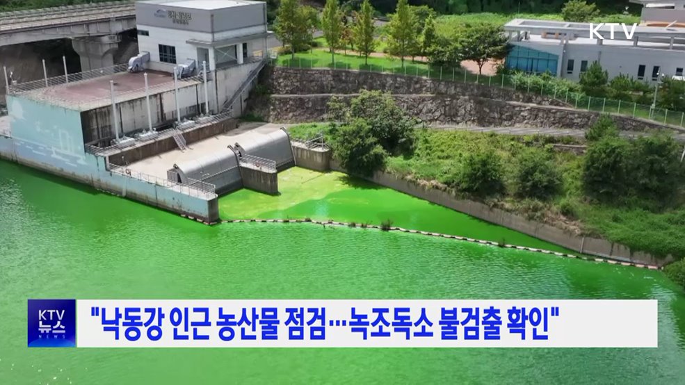 "낙동강 인근 농산물 점검···녹조독소 불검출 확인"
