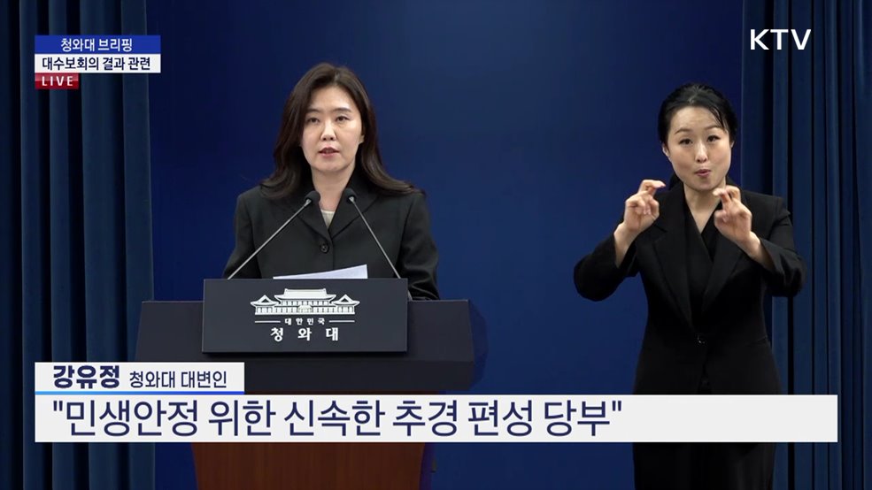 청와대 브리핑 - 대수보회의 결과 관련