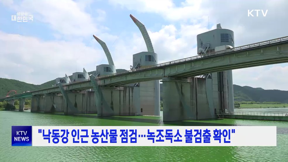 "낙동강 인근 농산물 점검···녹조독소 불검출 확인"