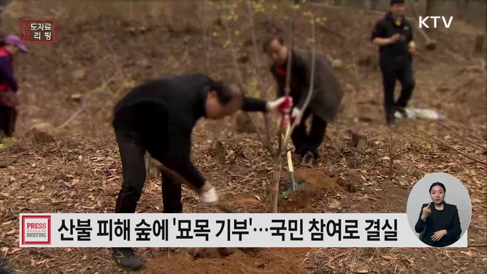 국민 참여로 산불피해 숲에 희망나무 기부