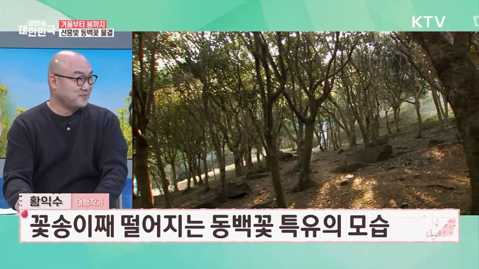 봄의 시작을 알리는 전국 봄꽃 추천 여행지 [여행을 떠나요]