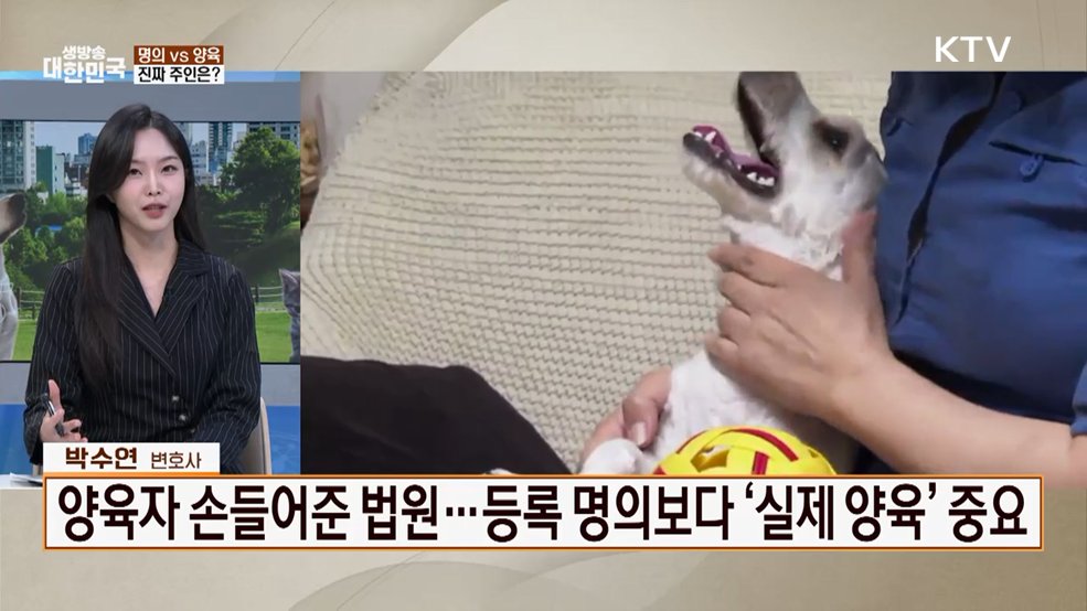 반려동물 인구 1,500만 시대···반려인이 꼭 알아야 할 생활법률! [잘 사는 법]