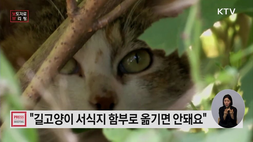 더불어 함께 살기 '길고양이 돌봄 가이드라인' 개정