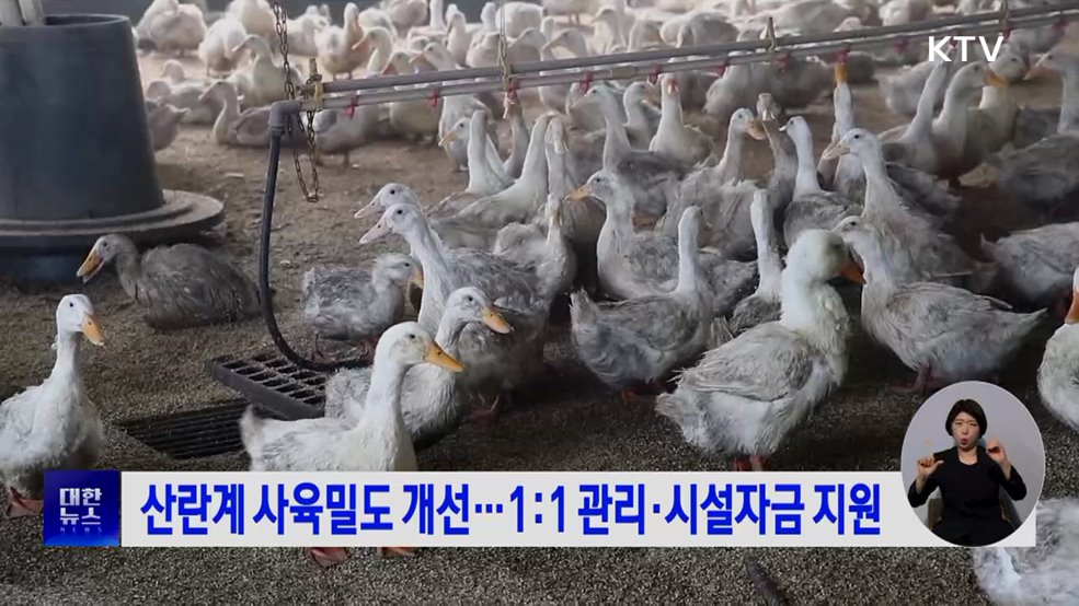산란계 사육밀도 개선···1:1 관리·시설자금 지원