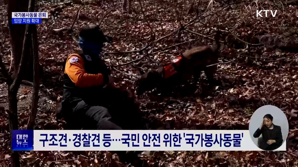 은퇴 국가봉사동물 '제2의 삶'···입양 지원 확대