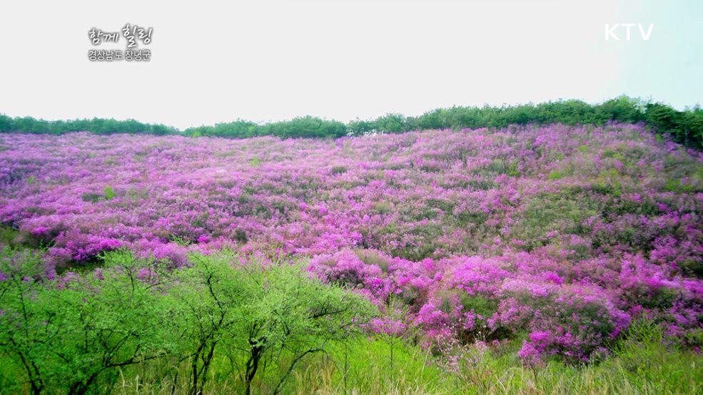 경상남도 창녕군 [함께힐링]
