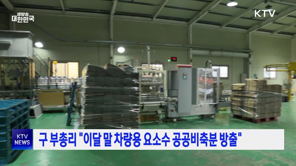 구 부총리 "이달 말 차량용 요소수 공공비축분 방출"