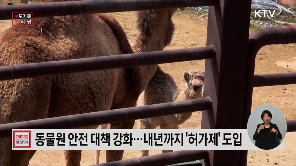 존중받는 동물, 안전한 동물원 조성 앞당긴다