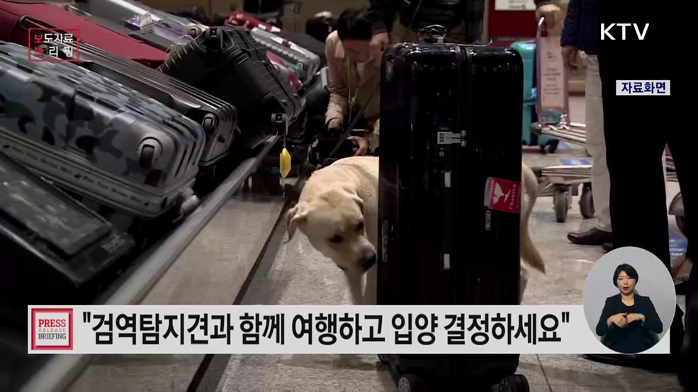 'From 탐지견 To 반려견' 검역탐지견과 함께 여행하고 입양 결정하세요!