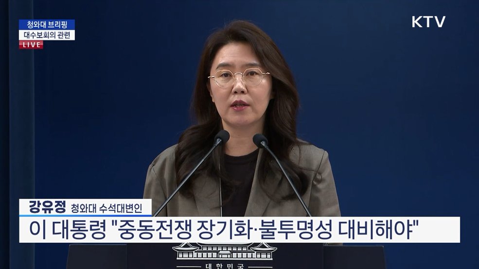 청와대 브리핑 - 대수보회의 관련