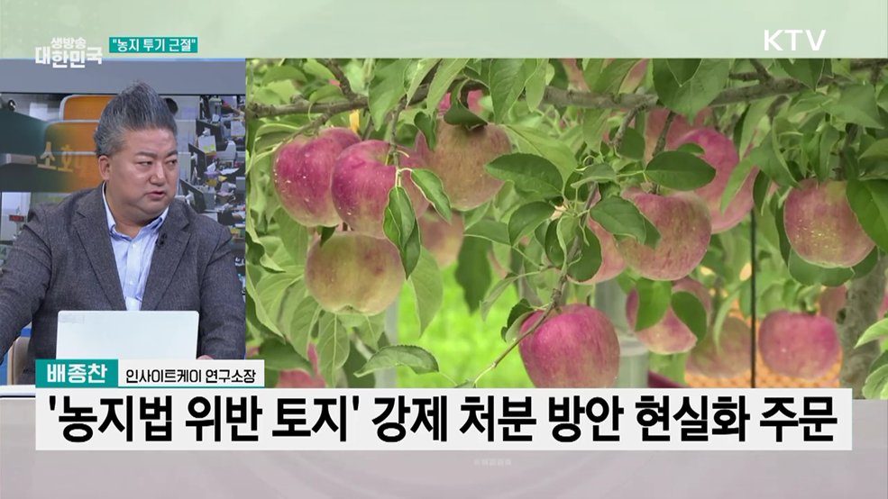 헌법 개정안 표결···"순차적 개헌 필요"