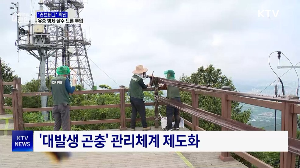 '러브버그' 경기 북부까지 확산···유충 방제·살수 드론 투입