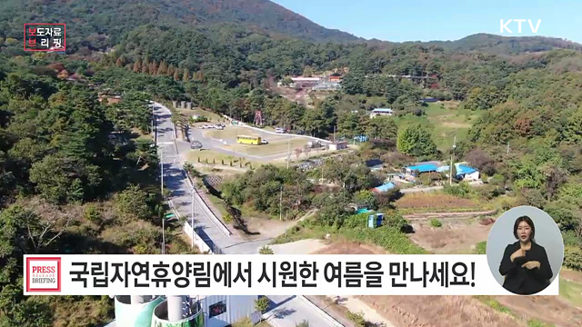국립자연휴양림에서 시원한 여름을 만나세요!