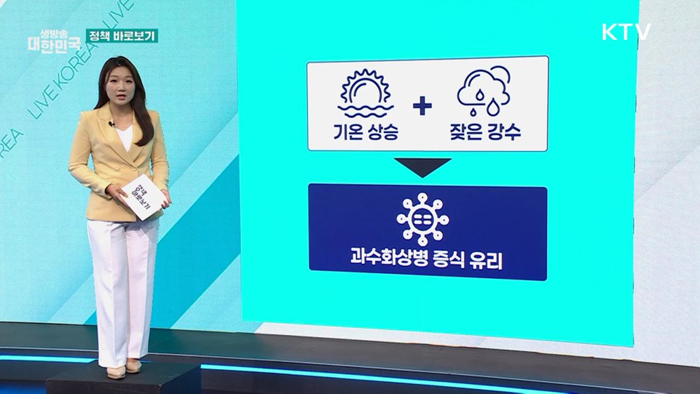 농식품부 "과수화상병 확산 차단 위한 총력 대응" [정책 바로보기]