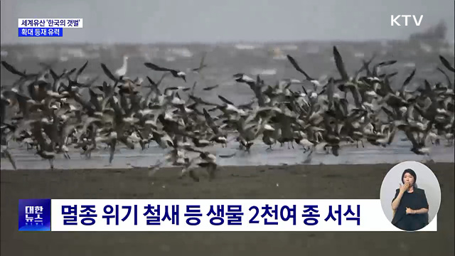유네스코 세계유산 '한국의 갯벌', 확대 등재 유력