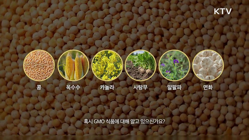 GMO 소비자 인식 개선 - 식품의약품안전처